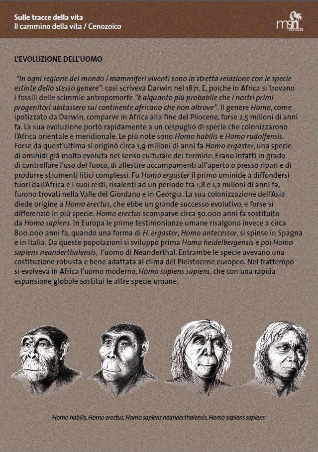 SCARICA le schede SULLE TRACCE DELLA VITA