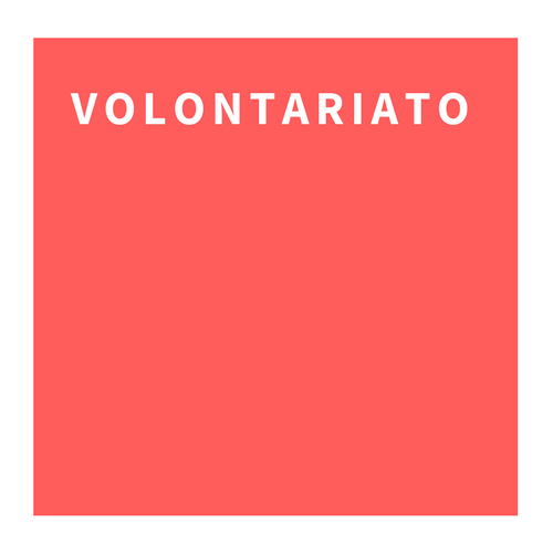 Offerta Volontariato Fondazione Musei Civici di Venezia
