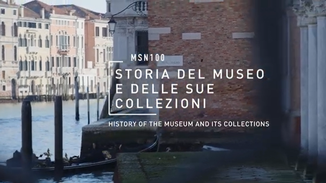 Copertina video storia delle collezioni