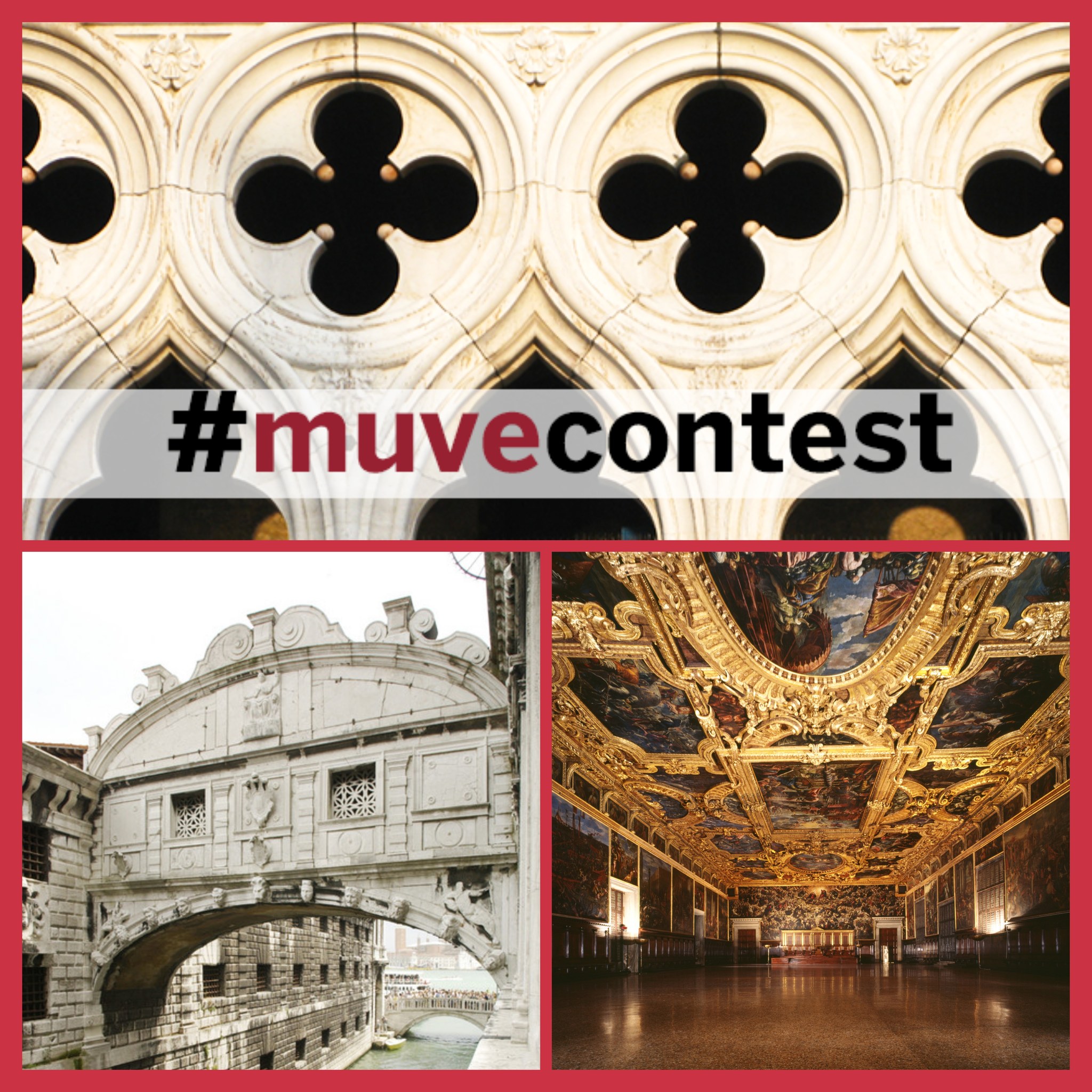Grafica MUVE Contest