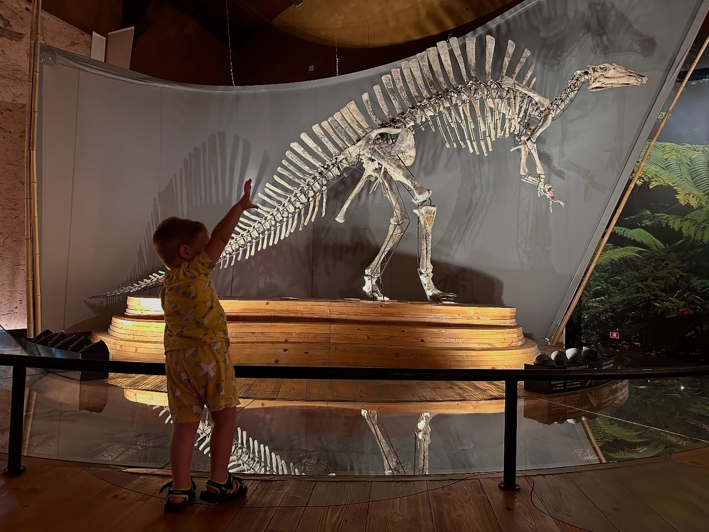 Un bambino davanti a uno scheletro di dinosauro