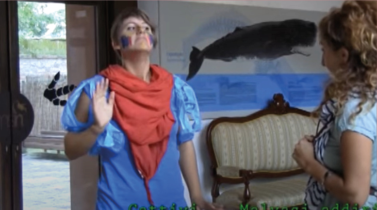 copertina video lis museo di storia naturale