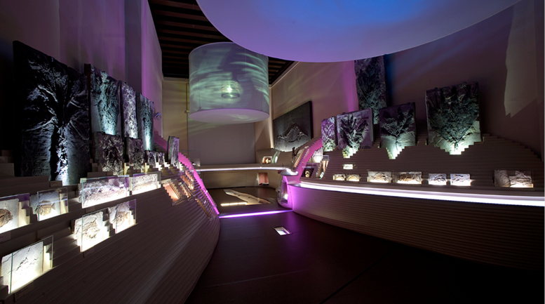 Museo di Storia Naturale