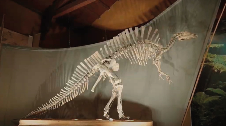 Copertina Scrigni veneziani, Ouranosauro