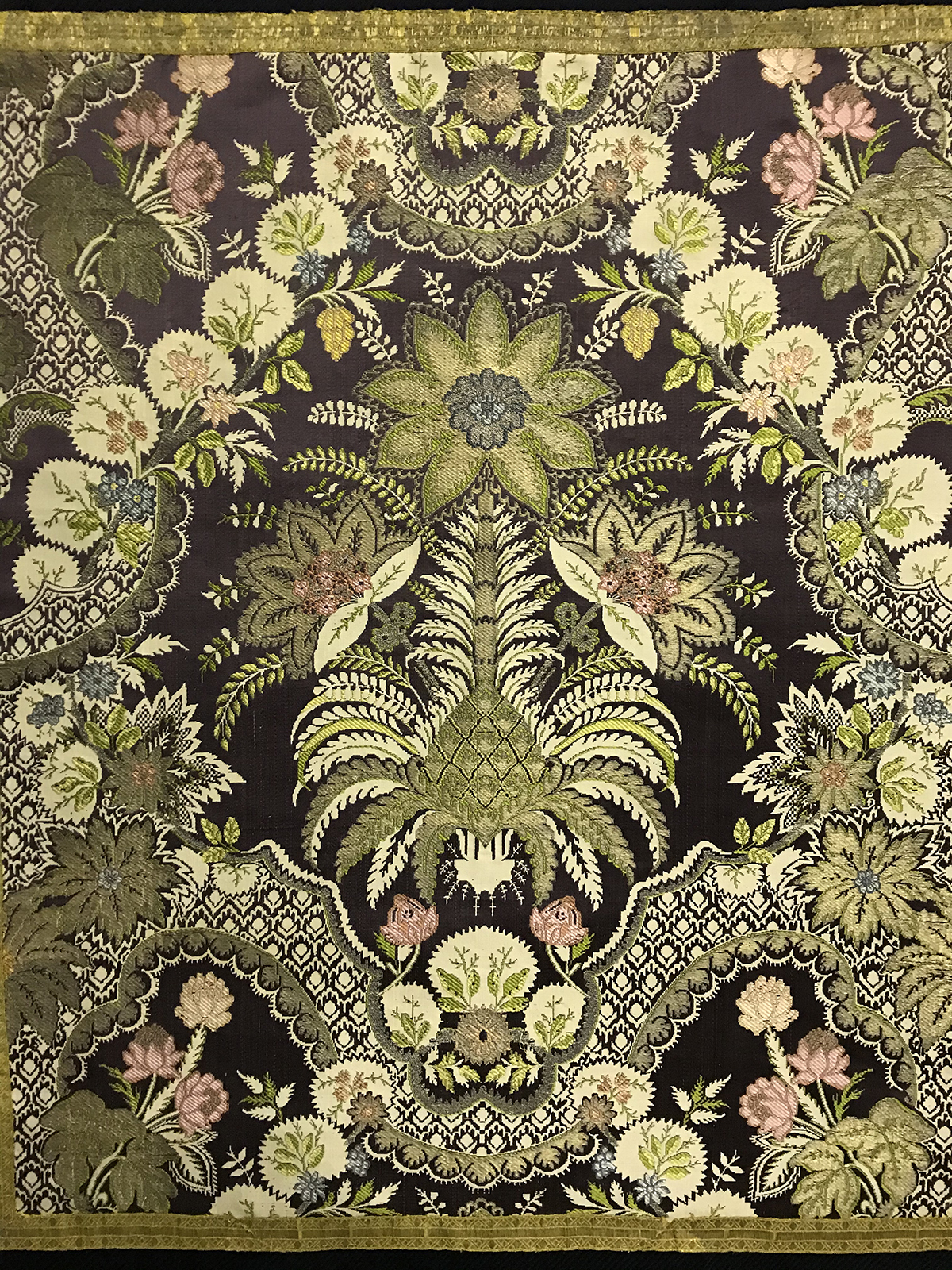 Lampasso ‘dentellé’