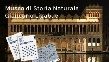 Download Museo di Storia Naturale