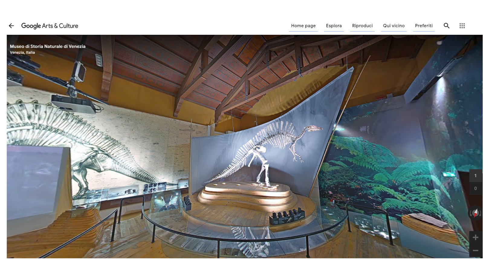 Virtual Tour Museo di Storia Naturale