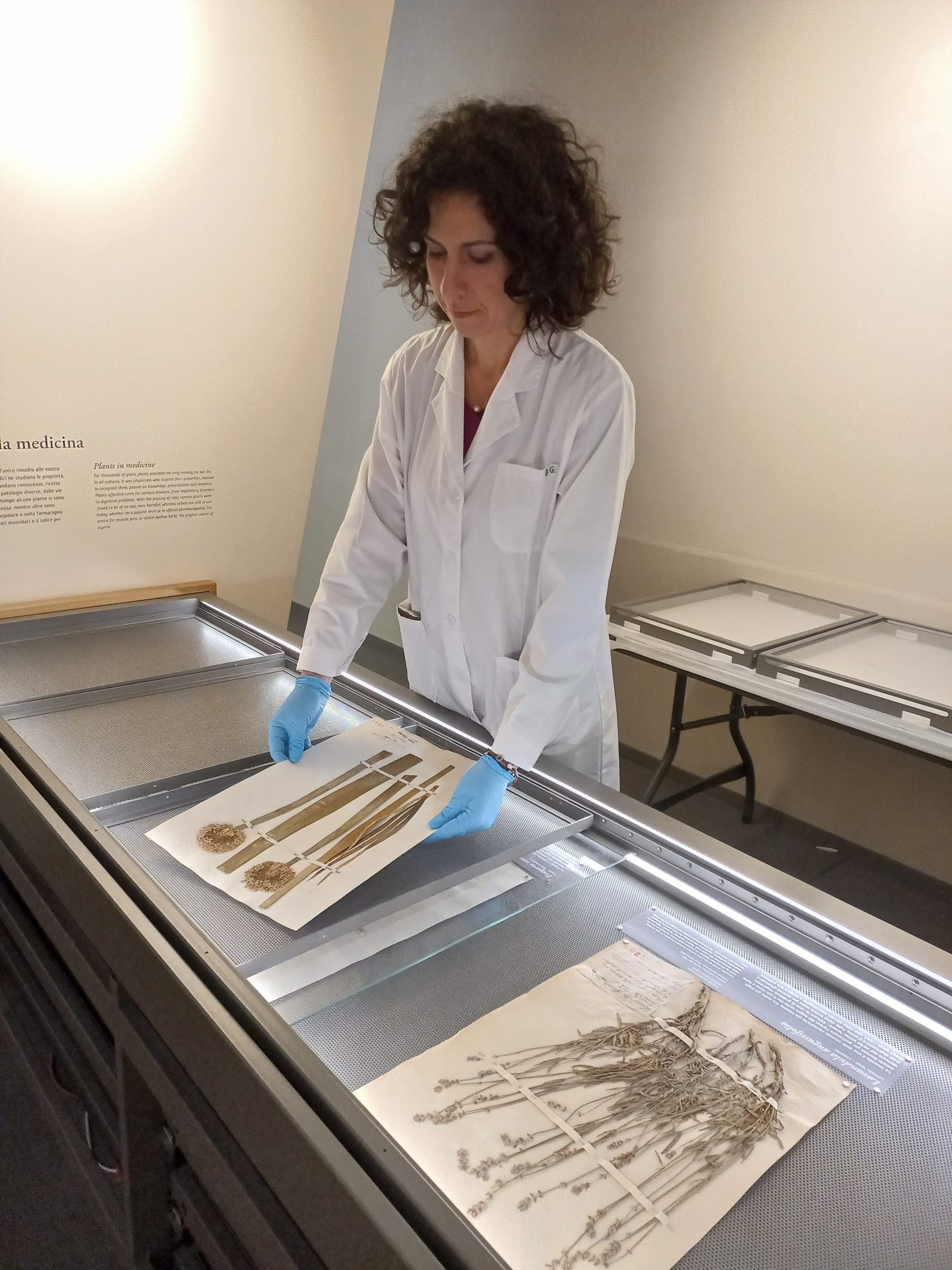 Foto Dalila Giacobbe