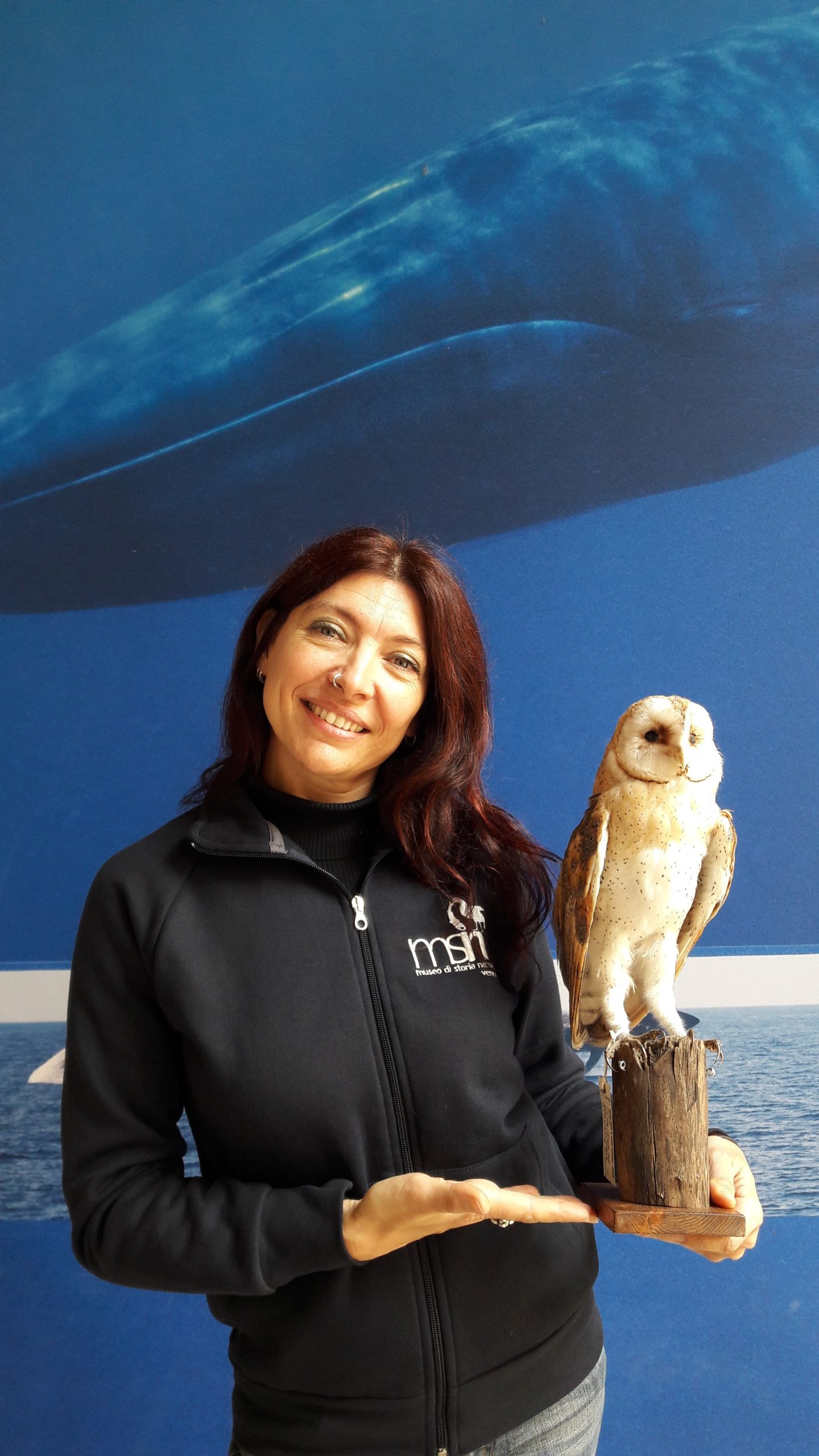 Foto Raffaella Trabucco del Museo di Storia Naturale