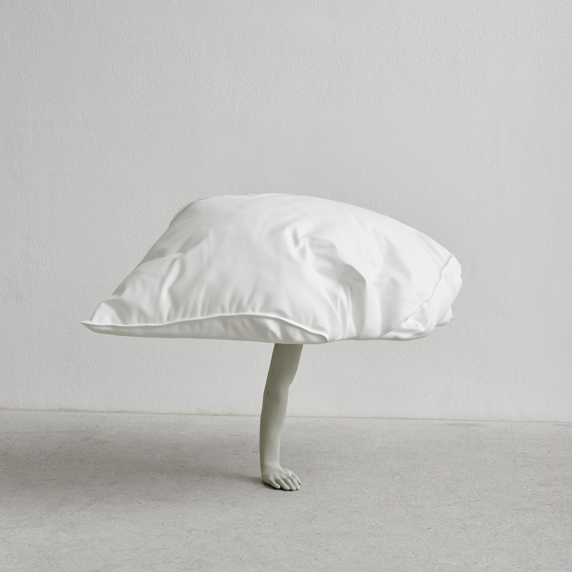 Opera immagine coordinata mostra Erwin Wurm. Dreamers