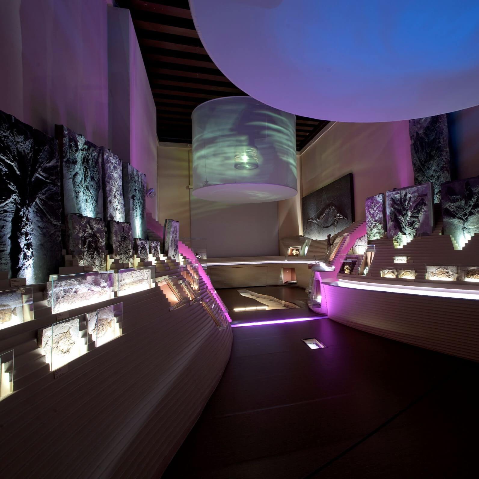 Museo di Storia Naturale