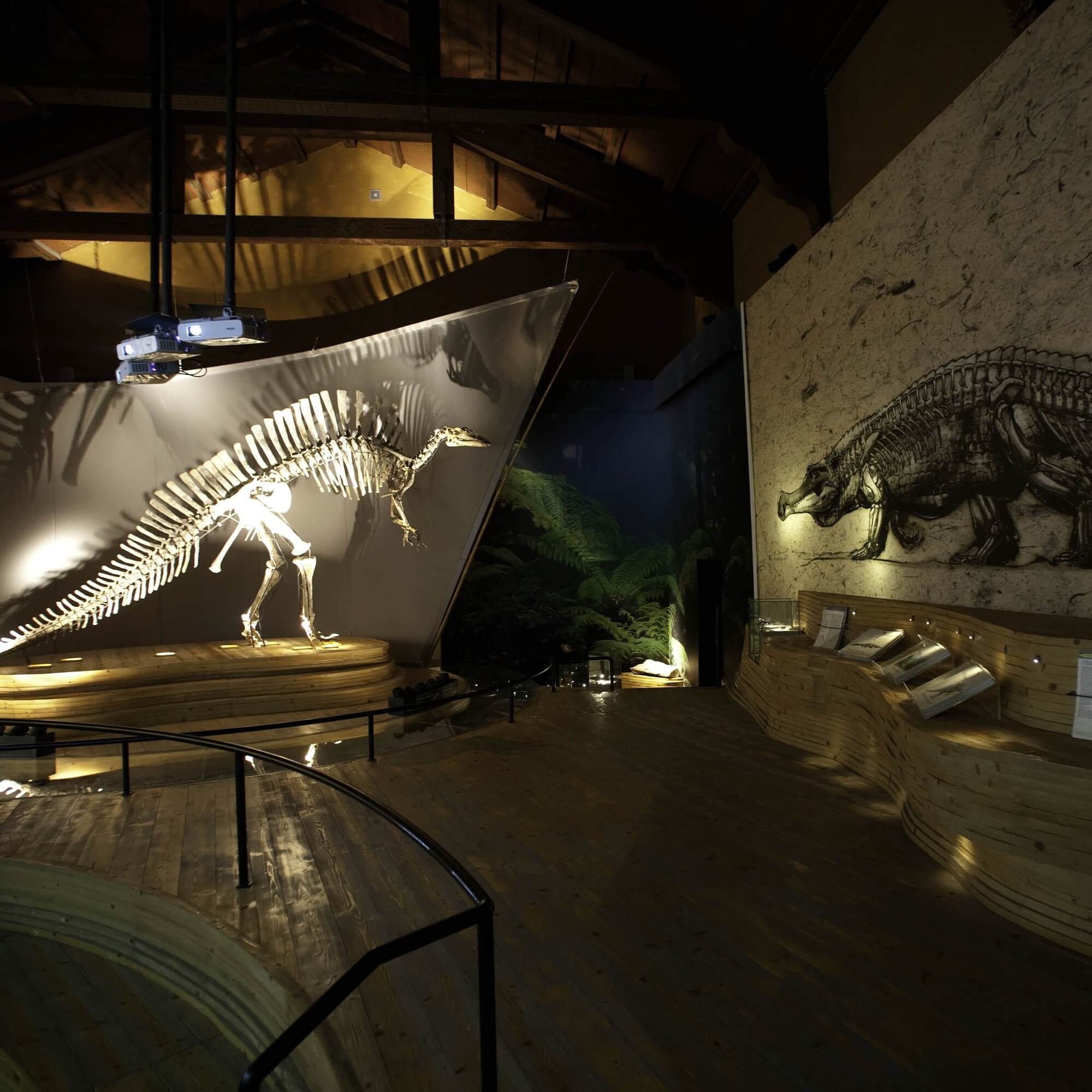 Museo di Storia Naturale